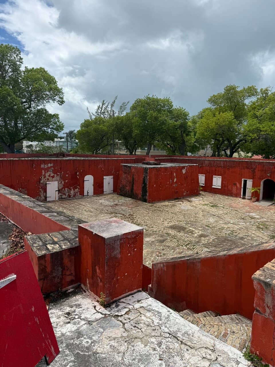 Rainforest Horseback Riding