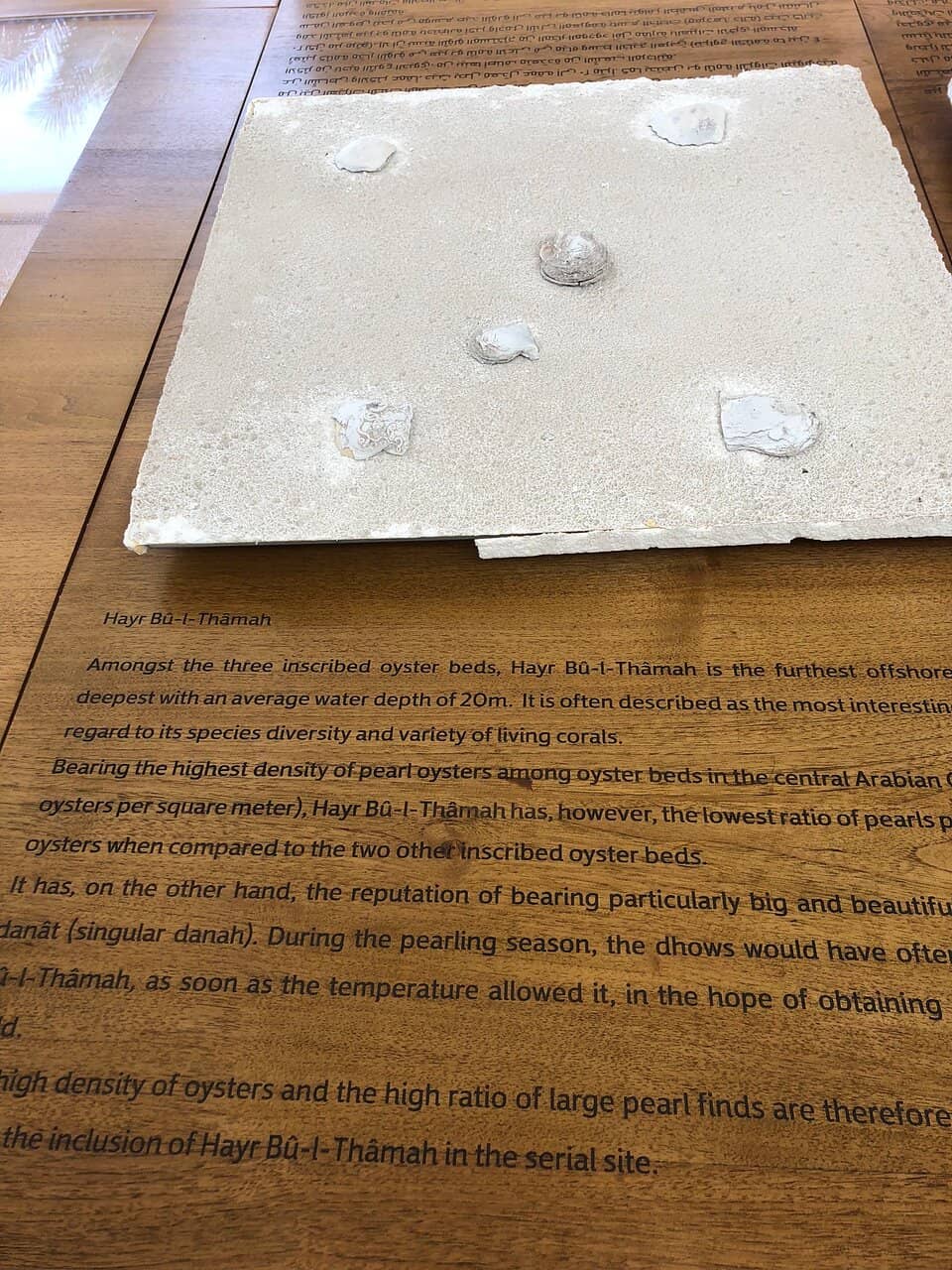 Bake and Paper Cafe