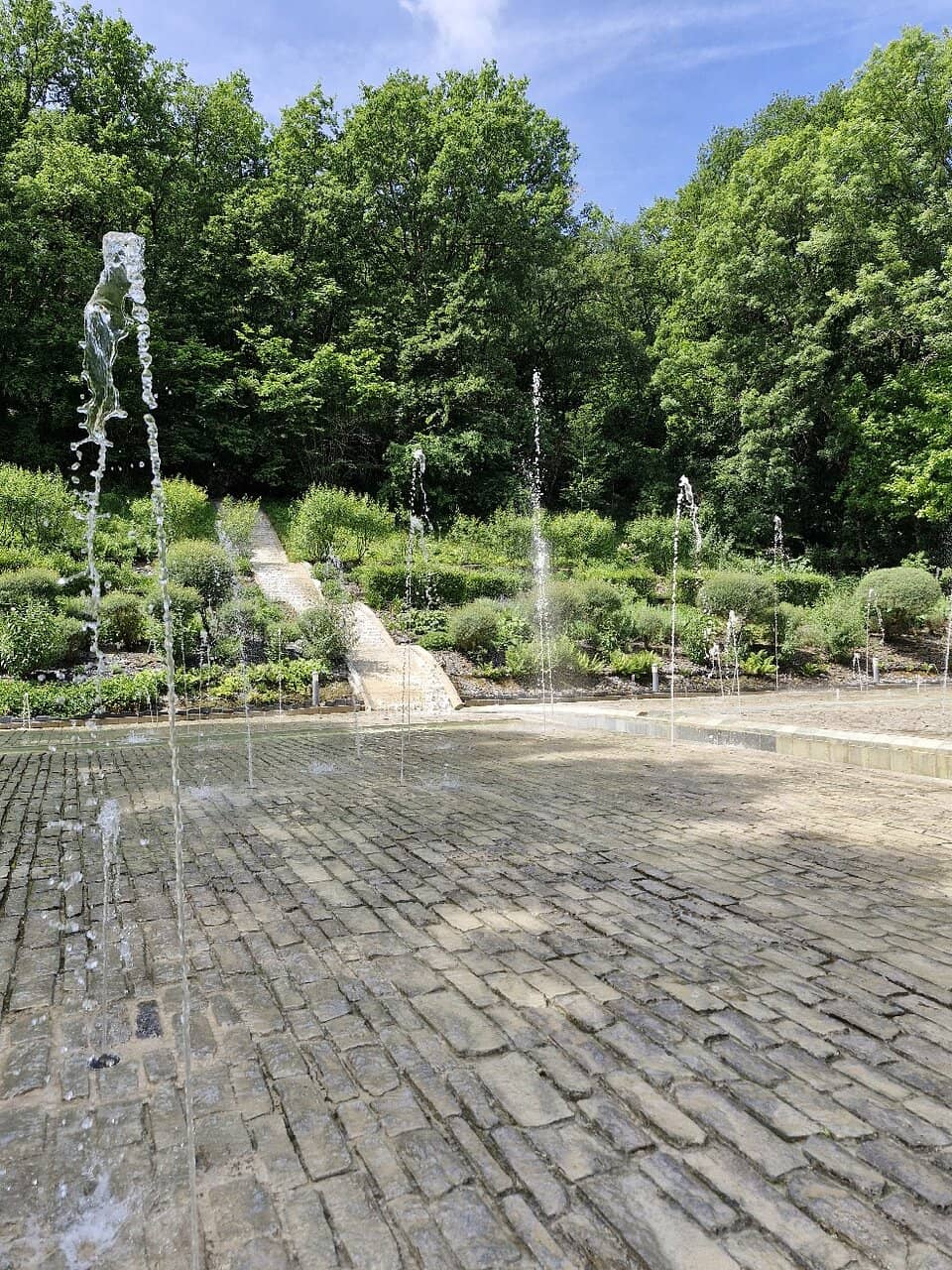 Rose Garden