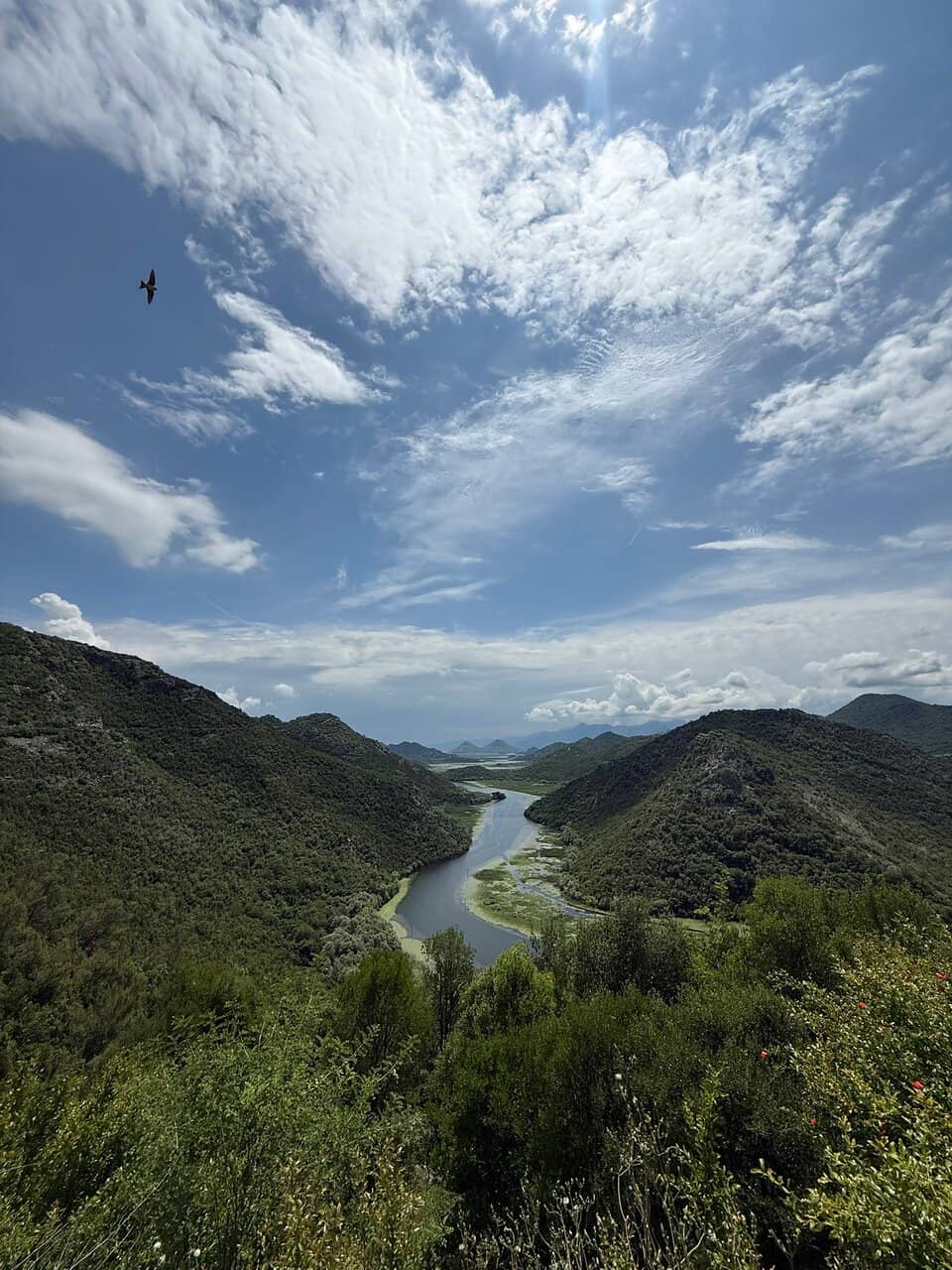 Hairpin Turn Challenge