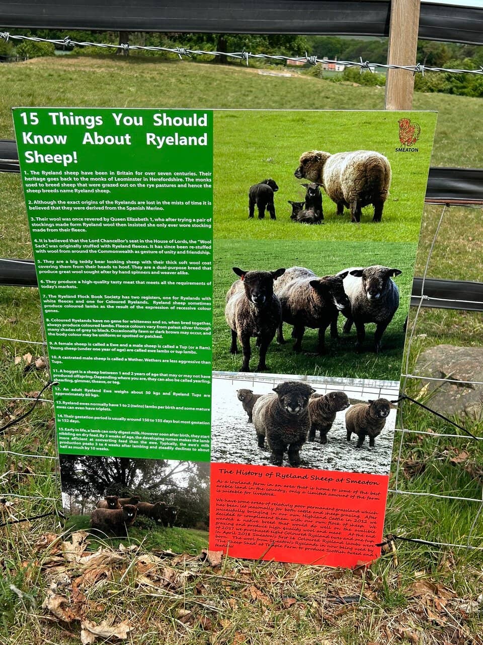 The Greenhouse Gallery