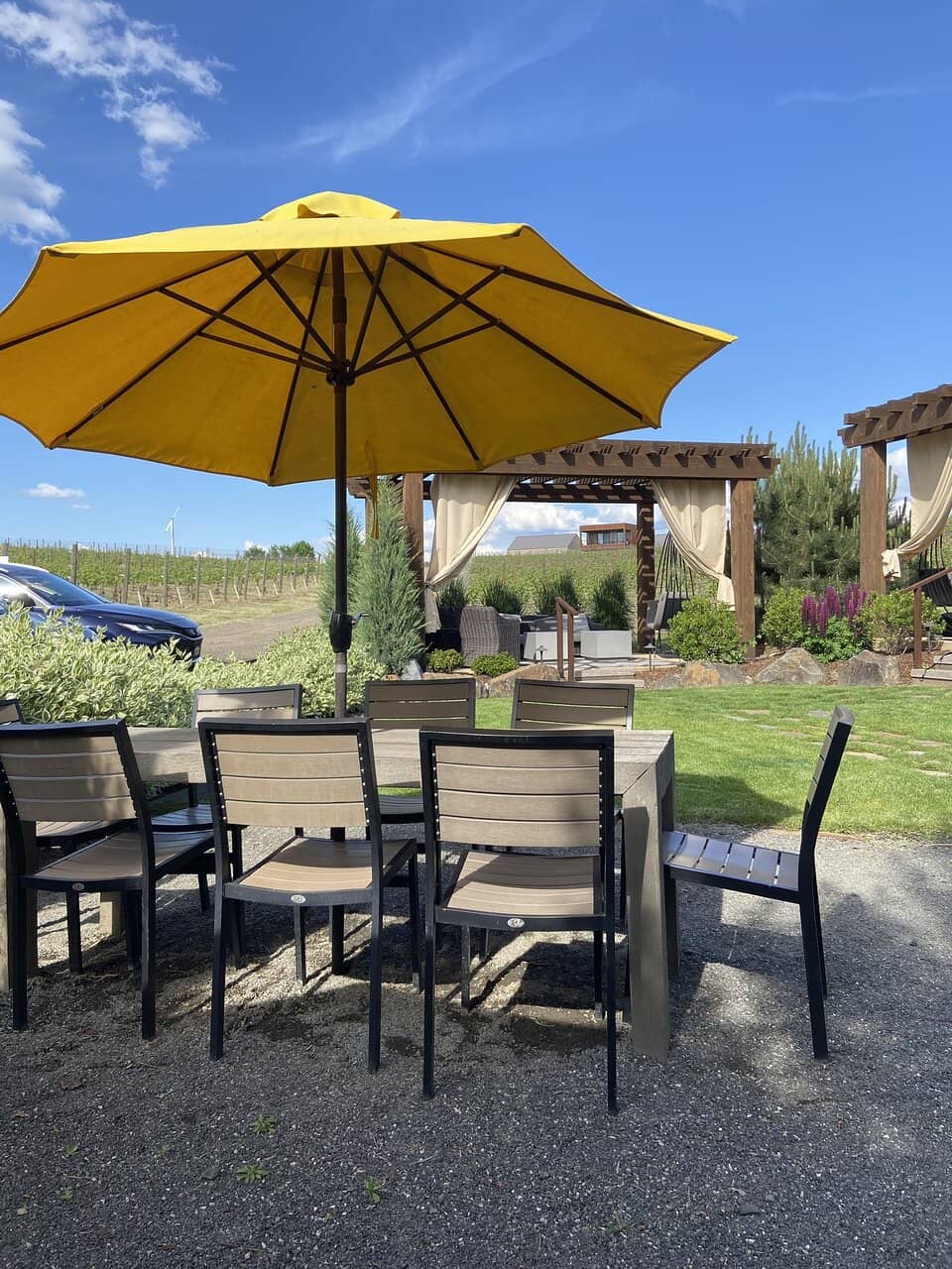 Dog-Friendly Wineries