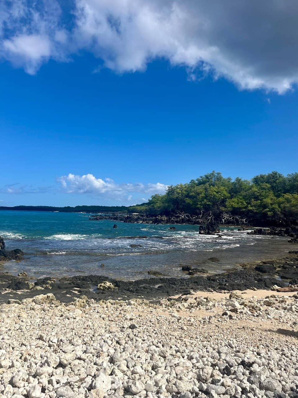 Dramatic Coastal Vistas