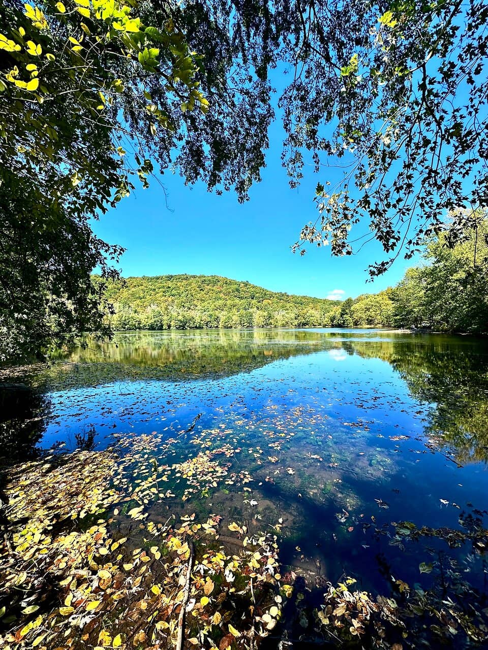 Scarlet Oak Pond