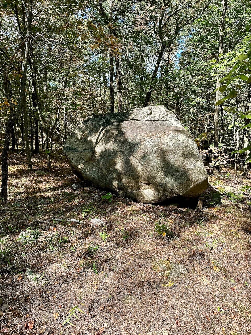 Vista Loop Trail