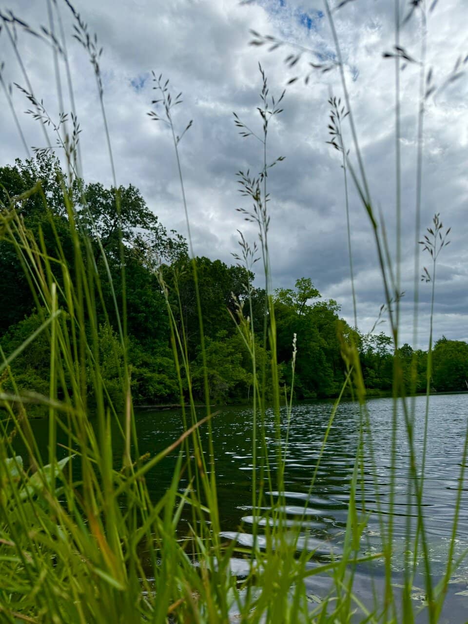 Nature Center Exhibits