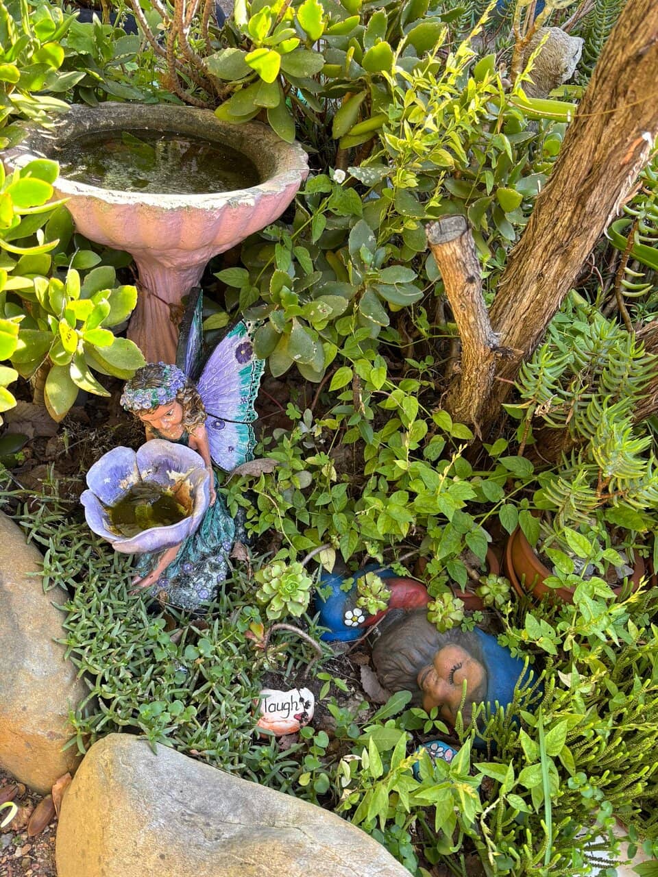 Fairy & Dragon Collectibles