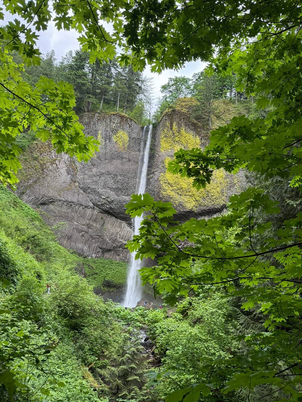 Basalt Column Formations