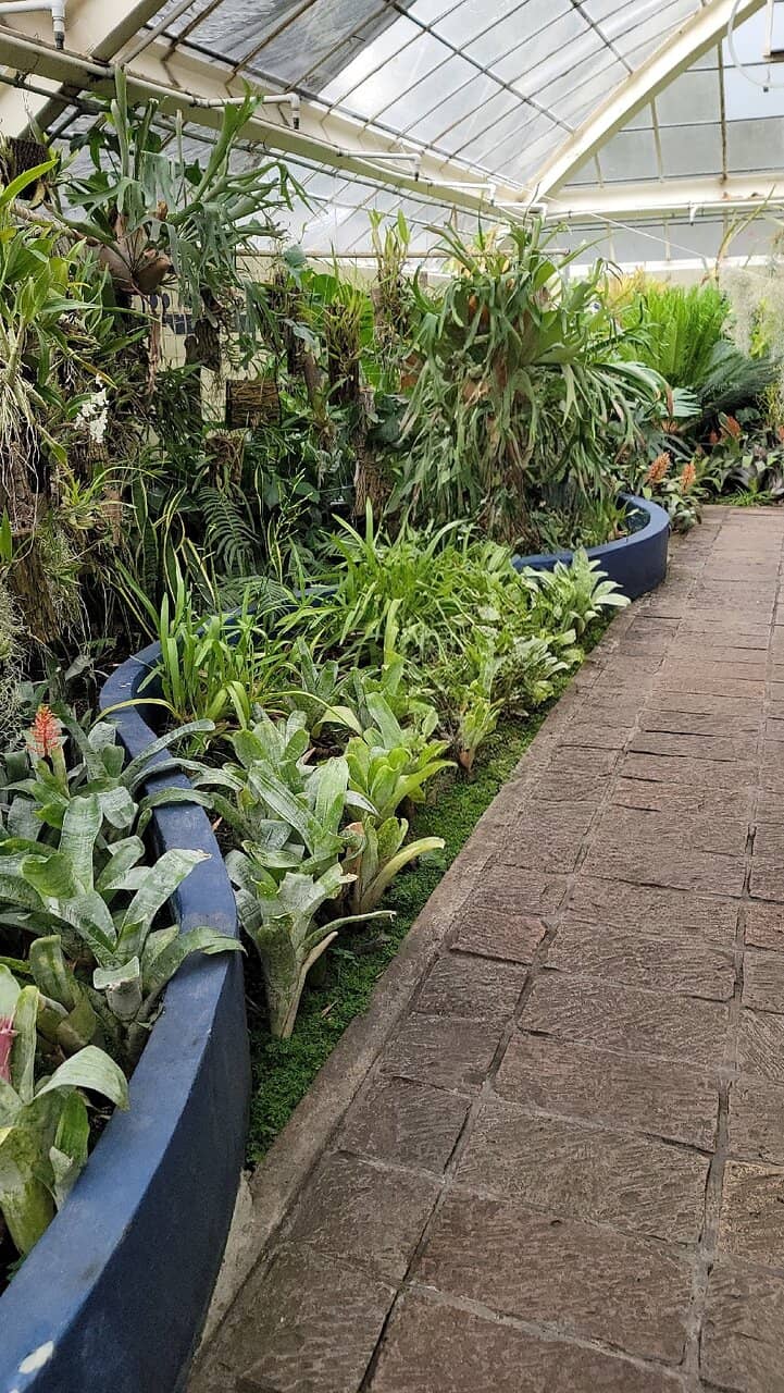 Birdwatching Haven