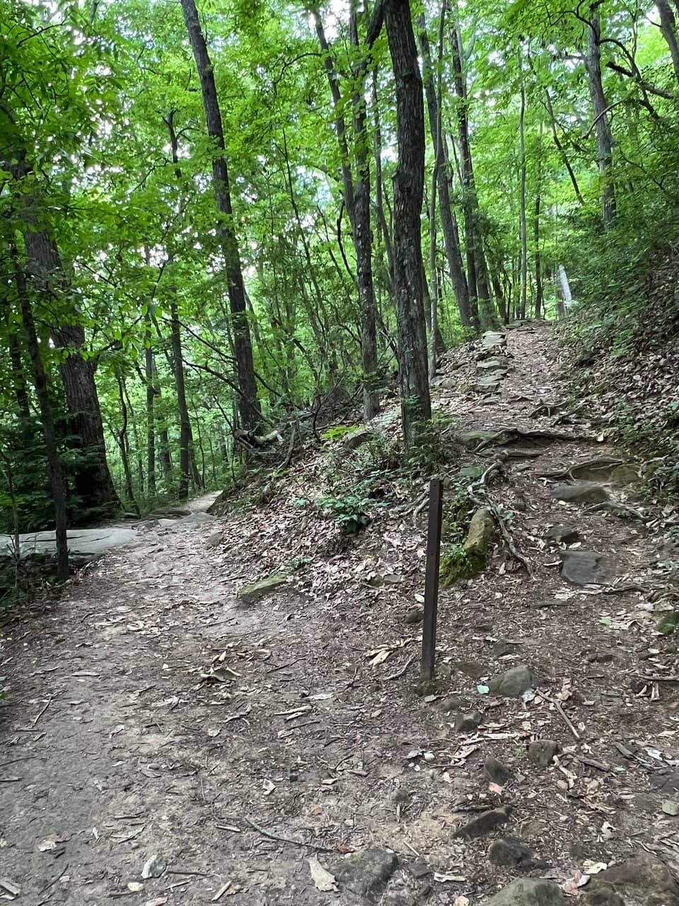 Vertical photo