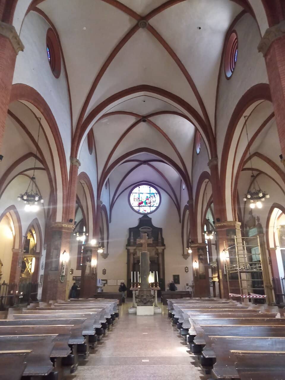 Ancient Fig Tree Cross