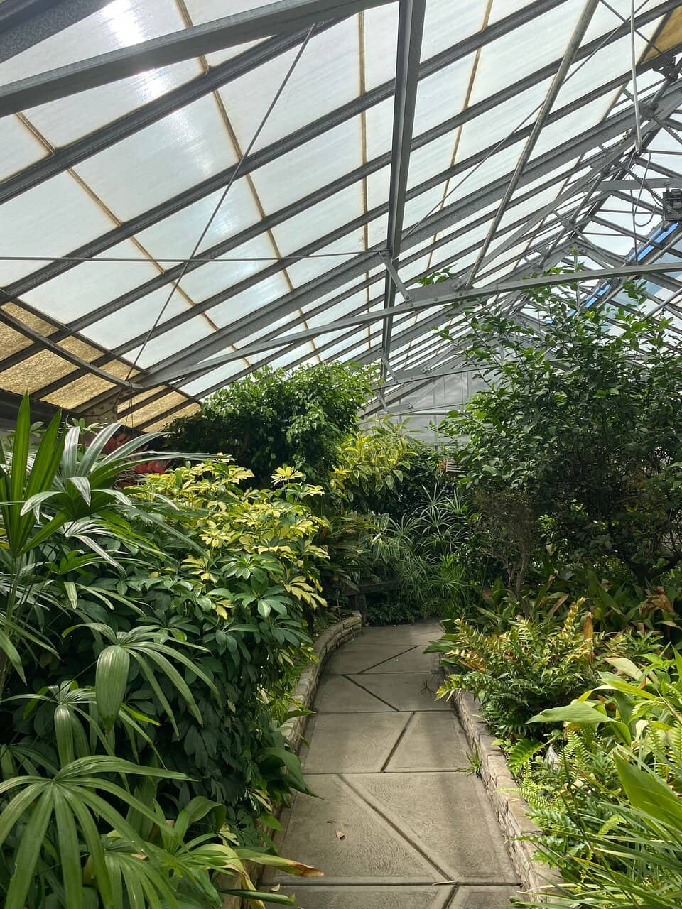 Willott Iris Garden