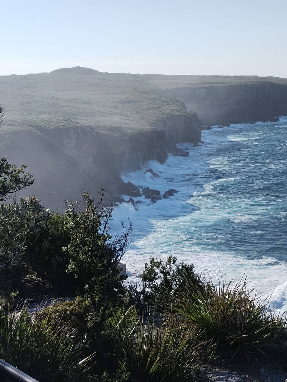 Vibrant Forestry Drive