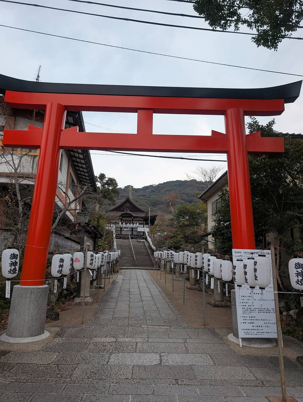 Matcha Delights Galore