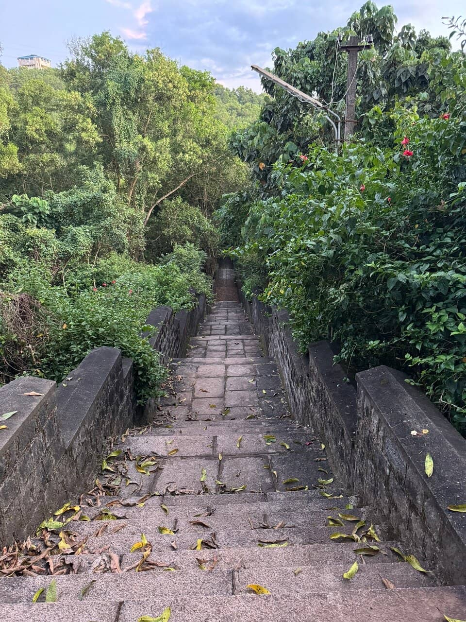 Madhvacharya's Footprint
