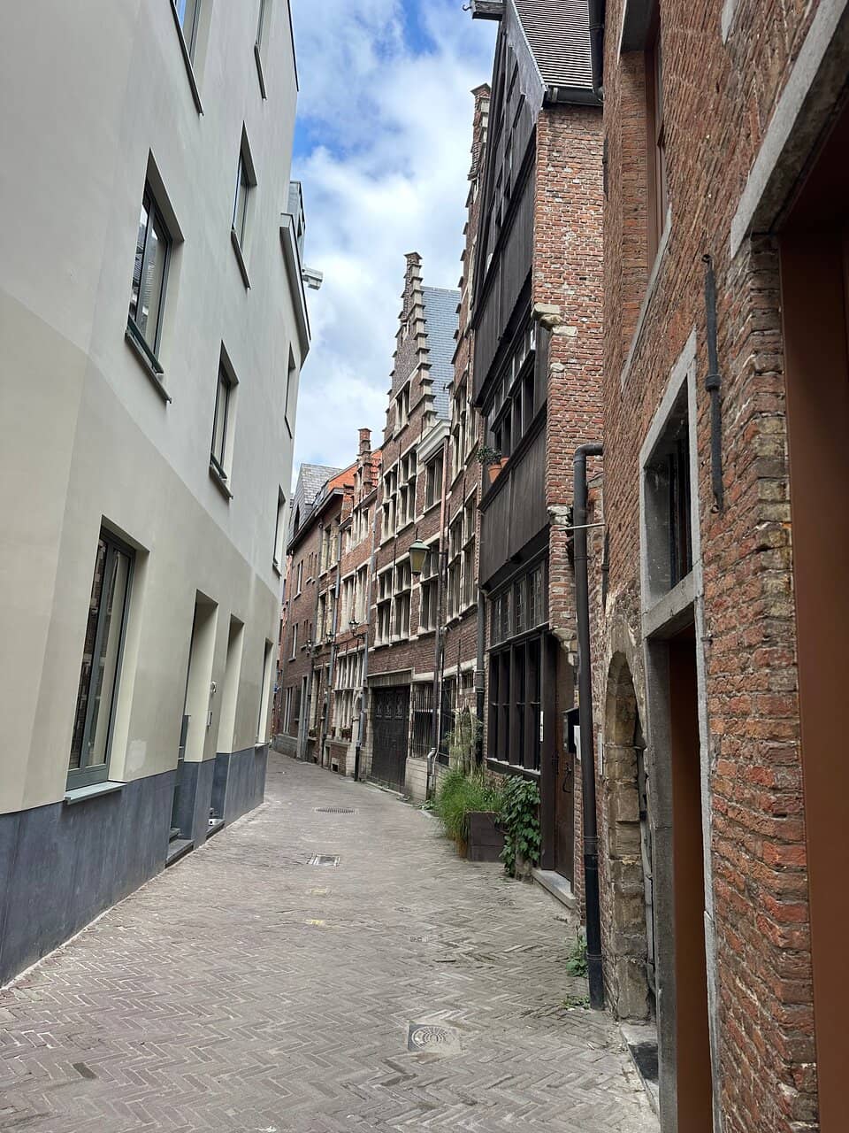 Vertical photo