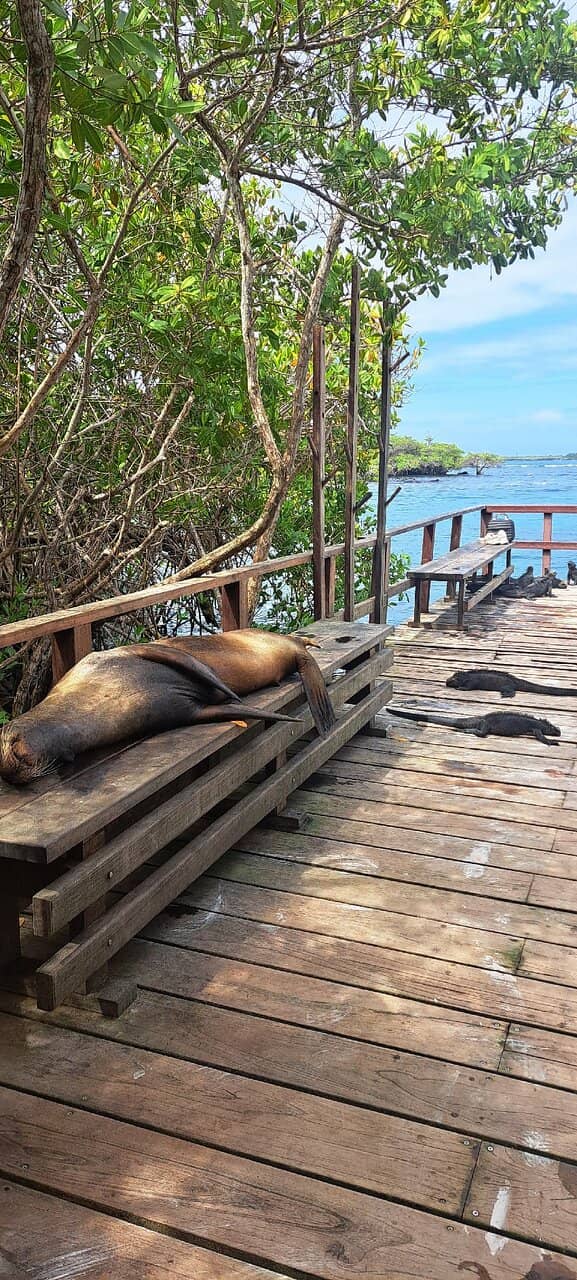 Diverse Marine Life