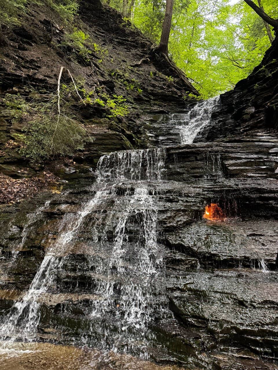 Scenic Hiking Trail