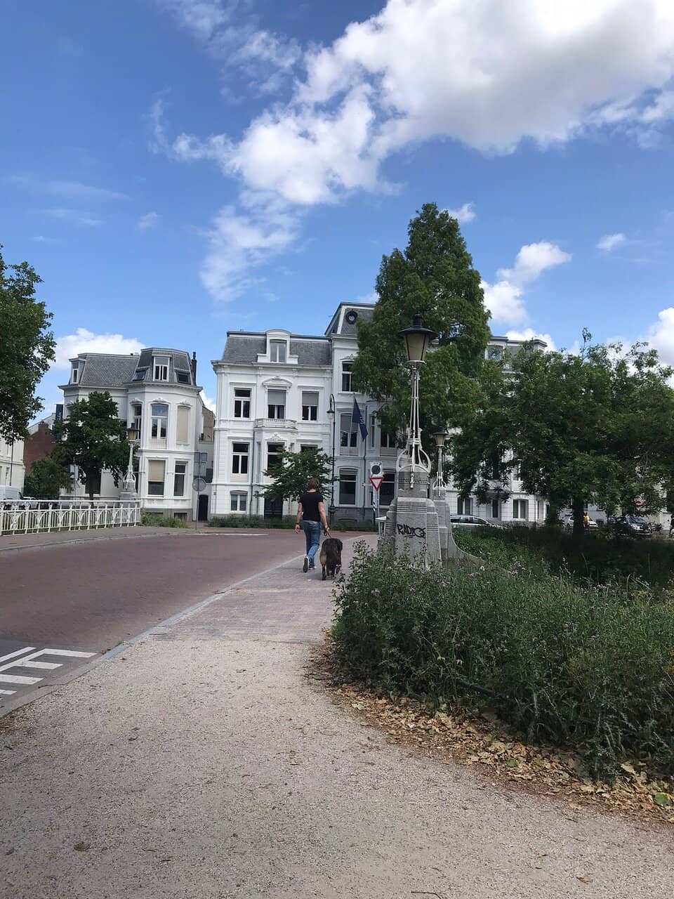 Victorian Landscape Design