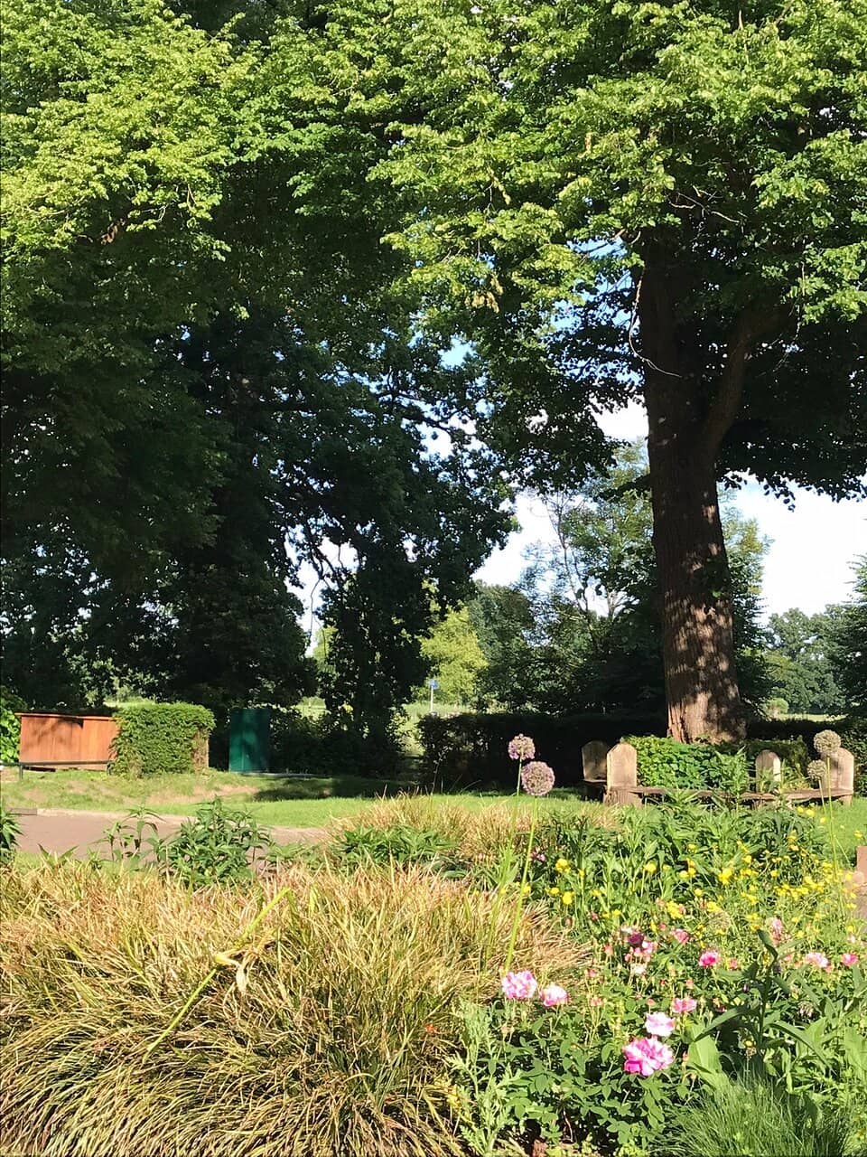 Open Meadows and Fields