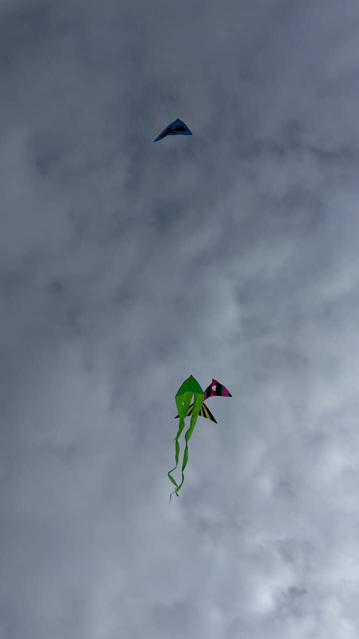 Kite Flying Paradise