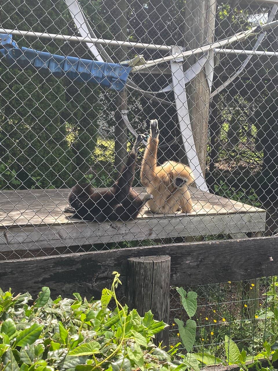 Pumpkin Village Fall Festival