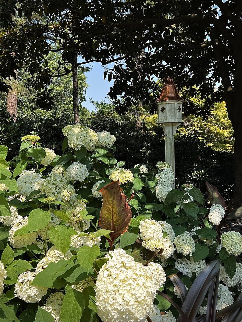 Peaceful Walking Paths