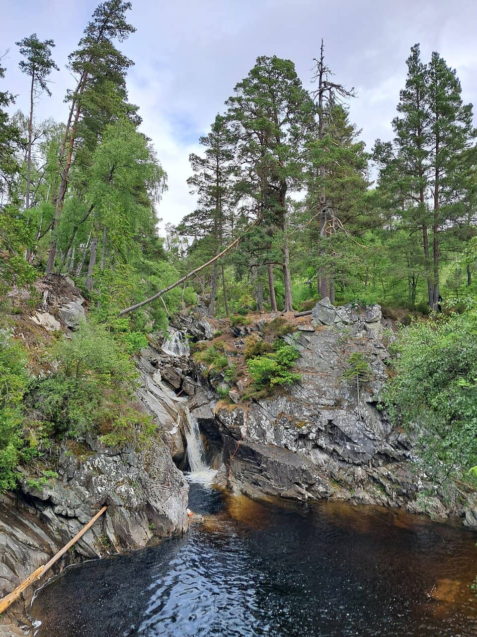 Robert Burns' Beloved Walk