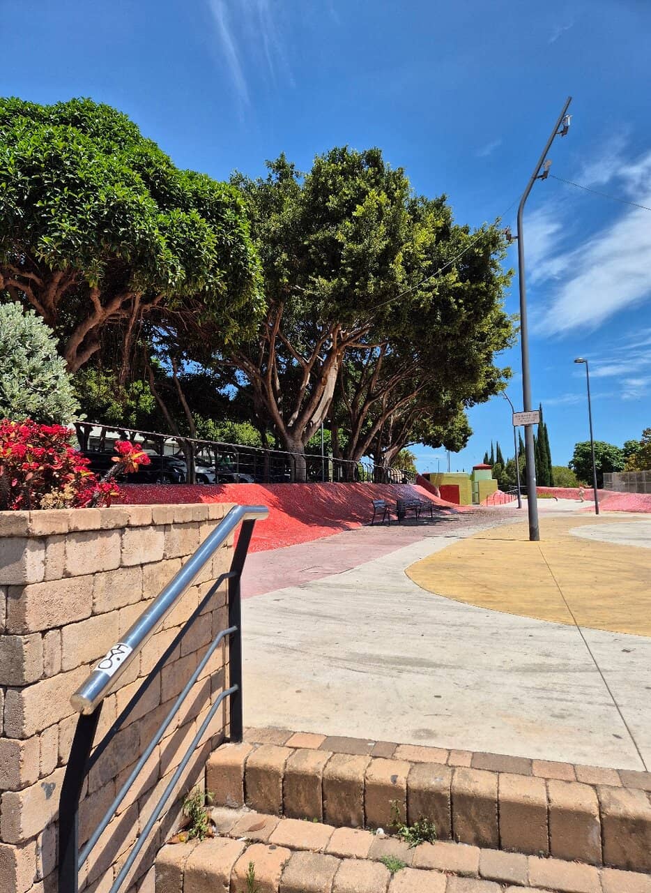 Expansive Skatepark