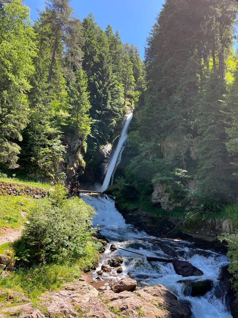 Vertical photo