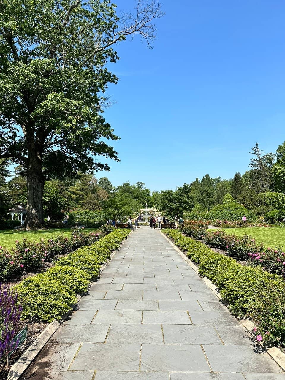 Picturesque Pathways