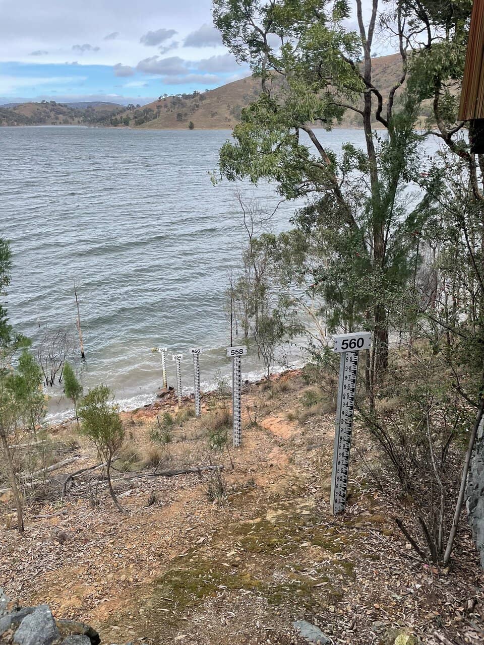 Fishing for Native Species