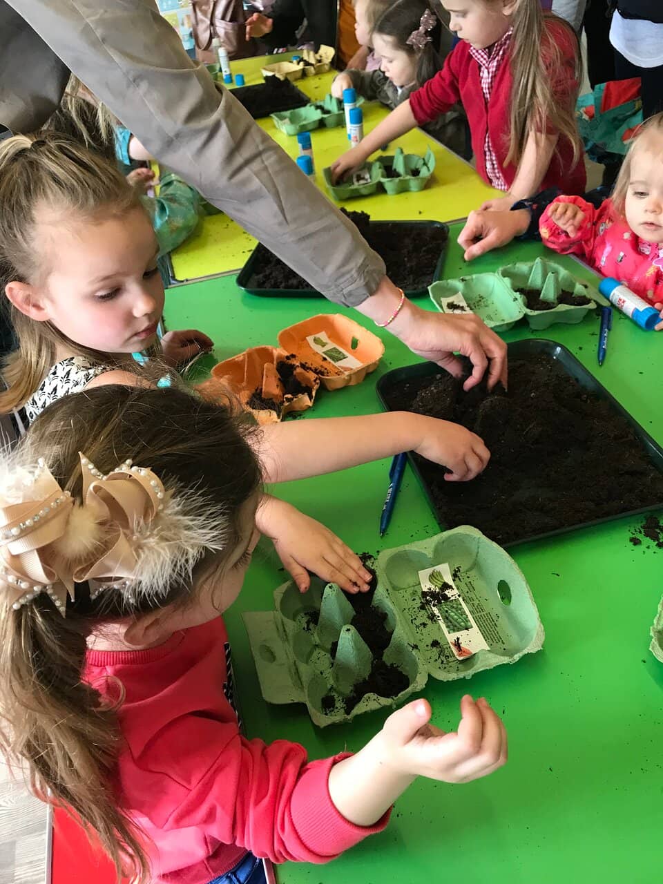 Maize Maze Adventure