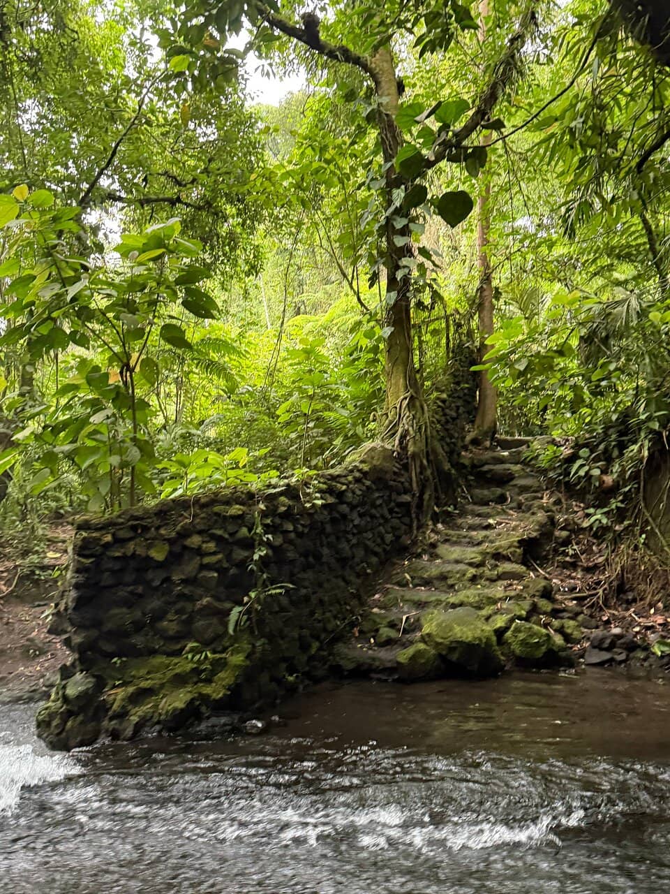 The Steaming River