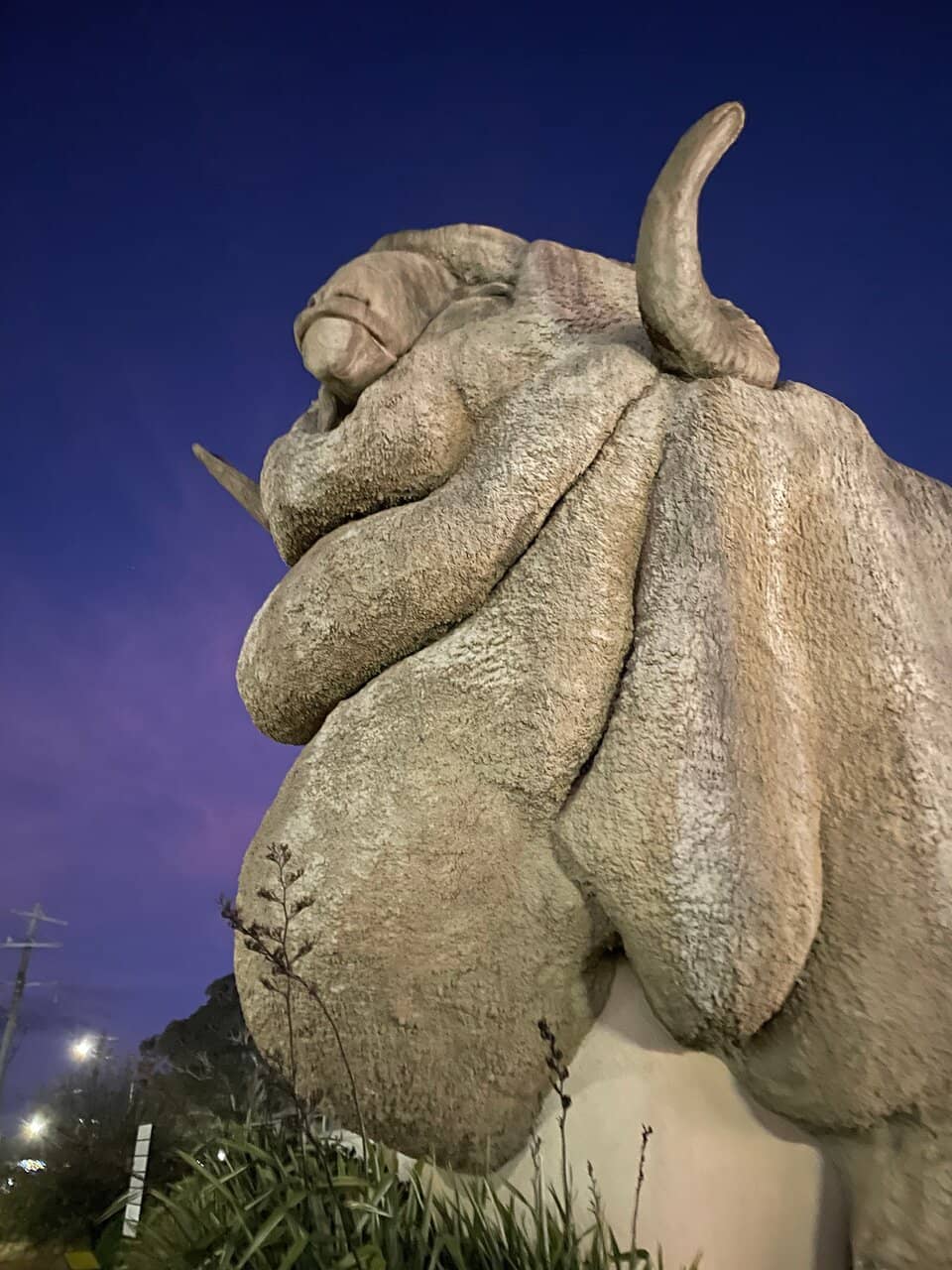 Souvenir Shop Delights