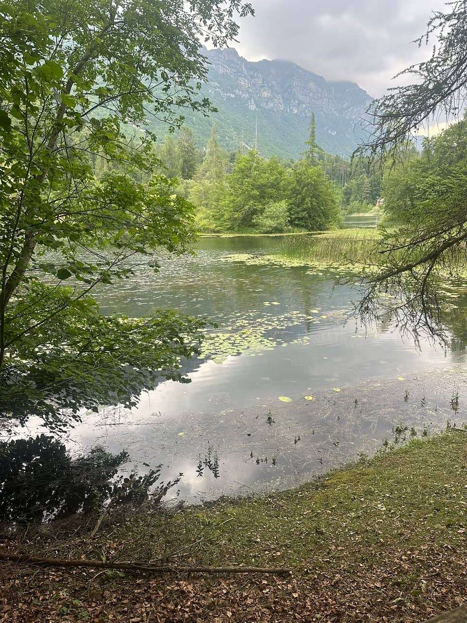 Tranquil Lakeside Ambiance
