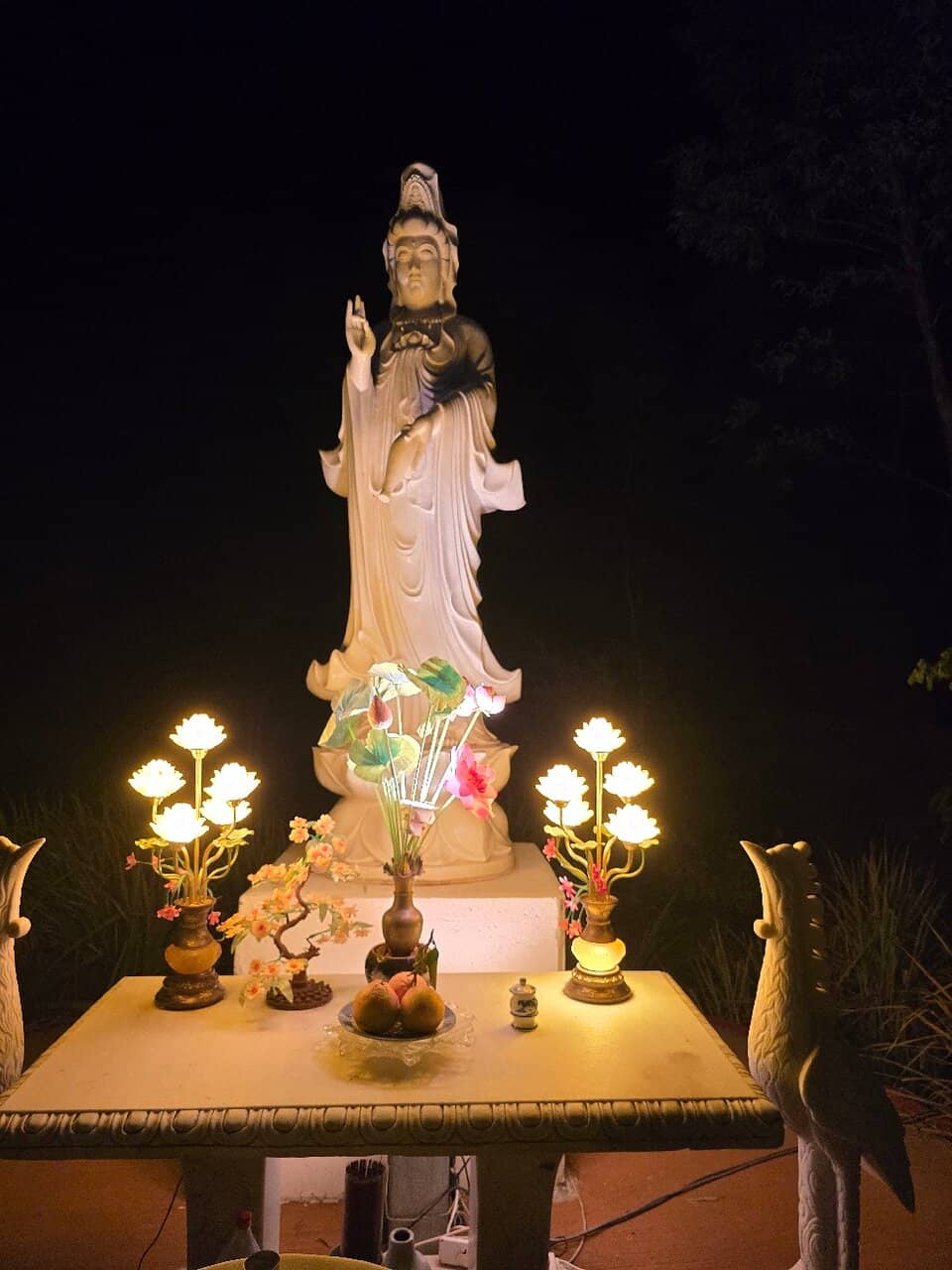 Tranquil Garden Ambiance