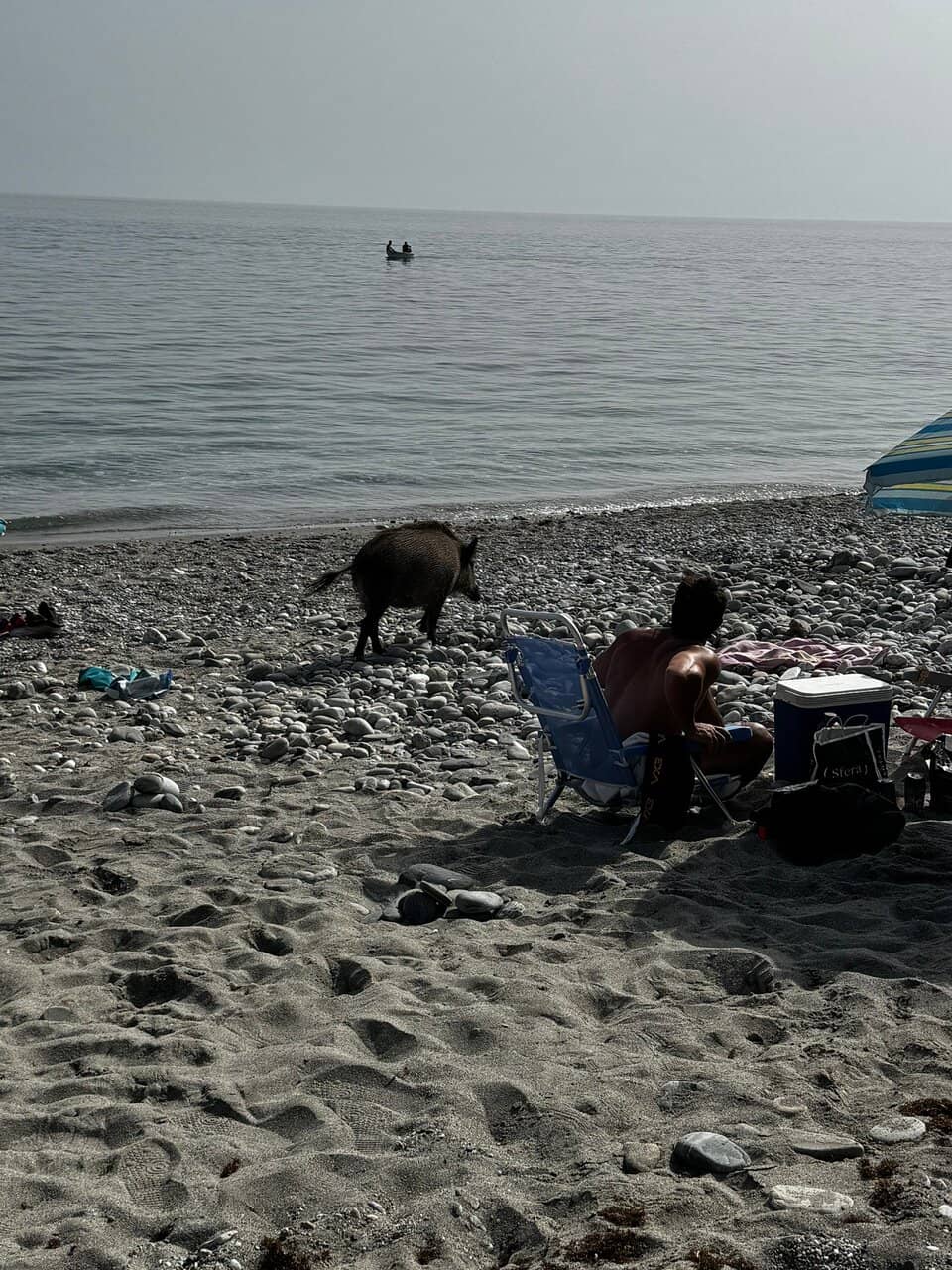 Snorkeling Opportunities