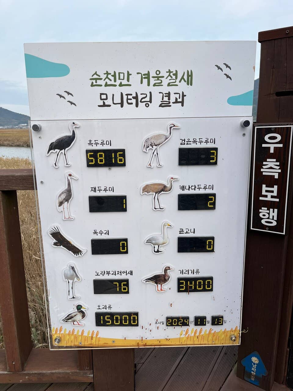 Abundant Wildlife