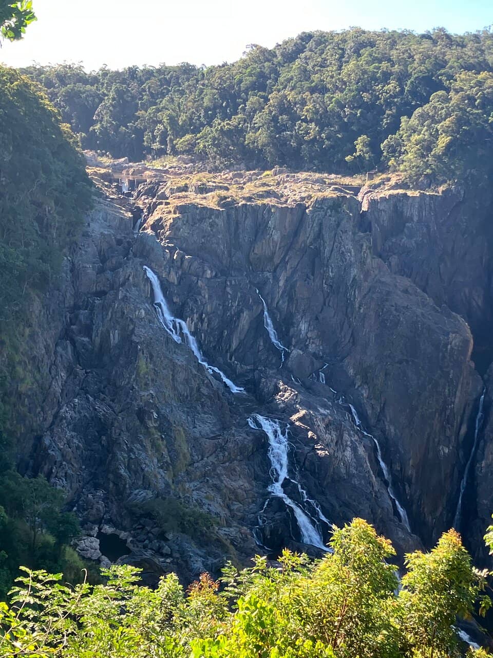 Vertical photo