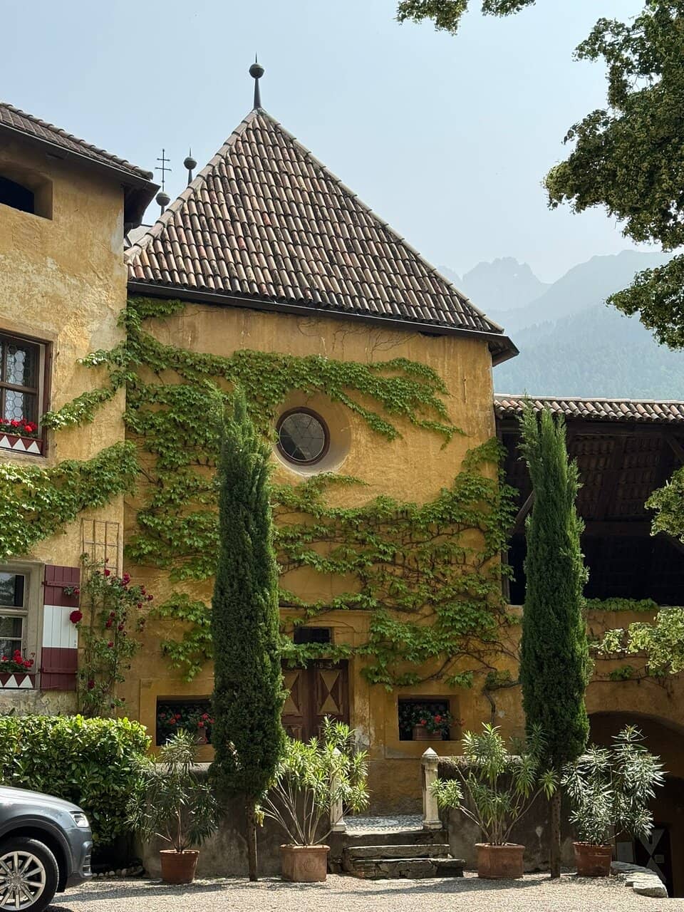 Family History Insights