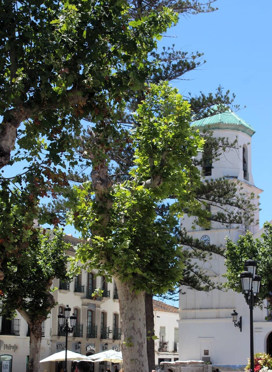 18th Century Frescoes