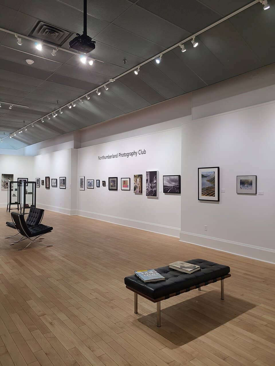 The Landscape Within Exhibit
