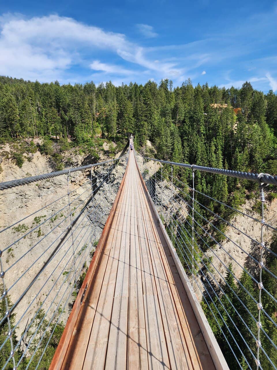 Vertical photo