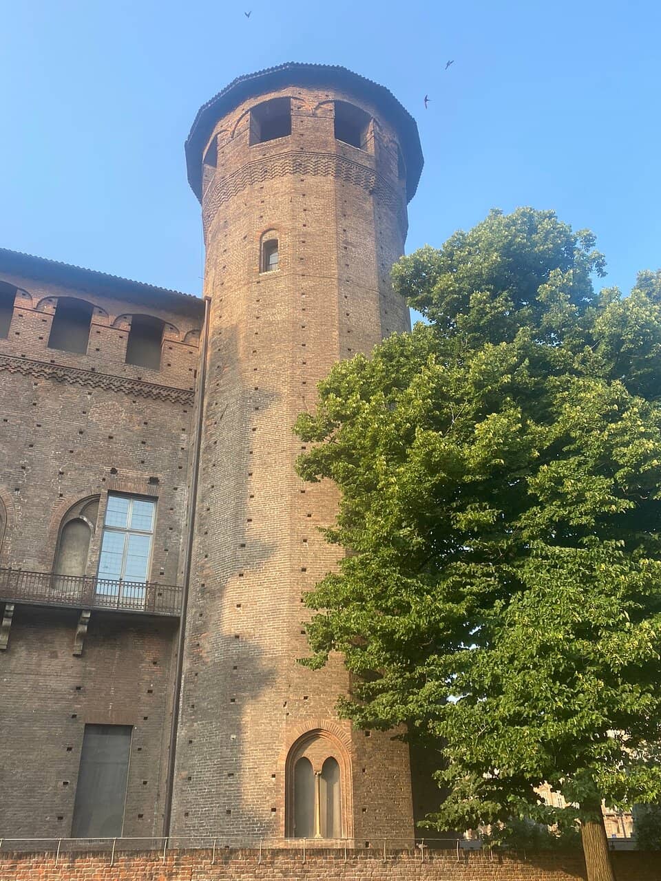 The Remarkable Library