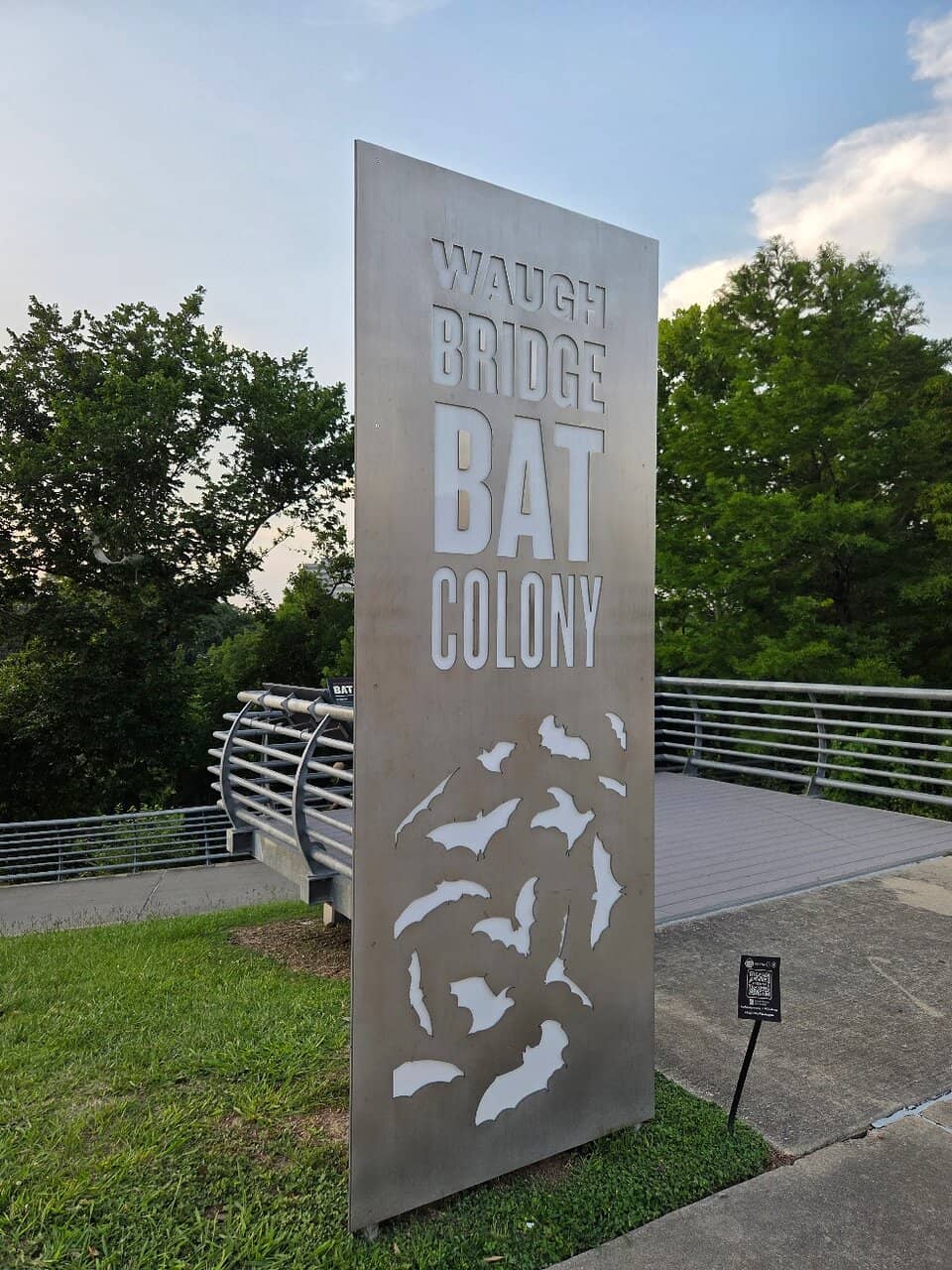 Bat Boat Tours