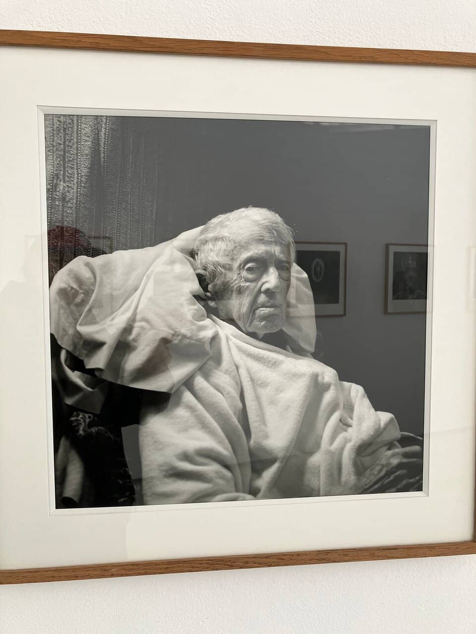 Bruno Munari Exhibits