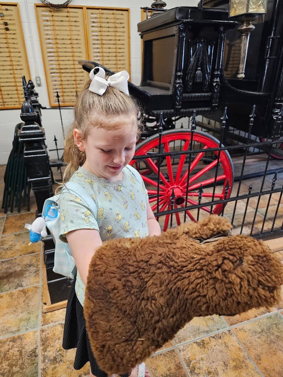 Indigenous Peoples' Displays