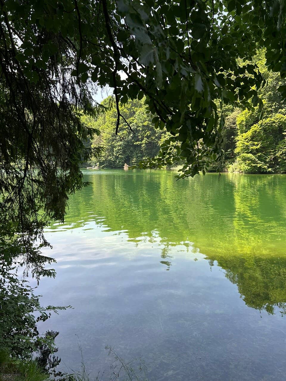 Hechtsee Open Air