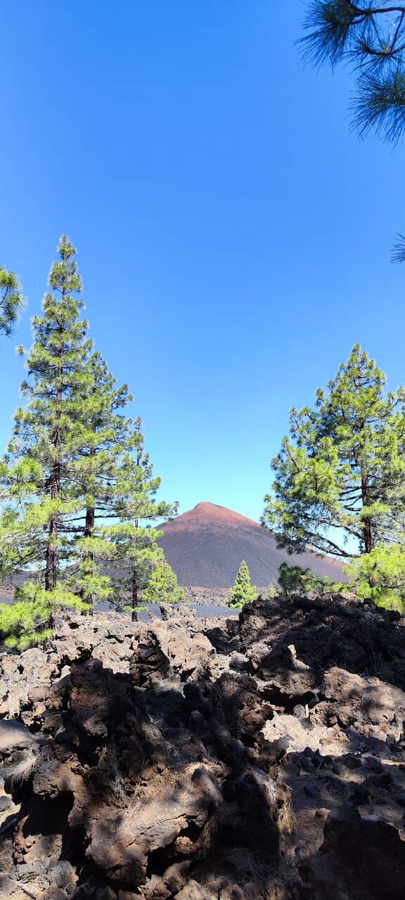 Vertical photo